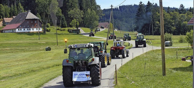 Vom Thurner aus bewegt sich der Traktorkonvoi auf Titisee-Neustadt zu.   | Foto: Christa Maier (2)/ S.Wolfrum