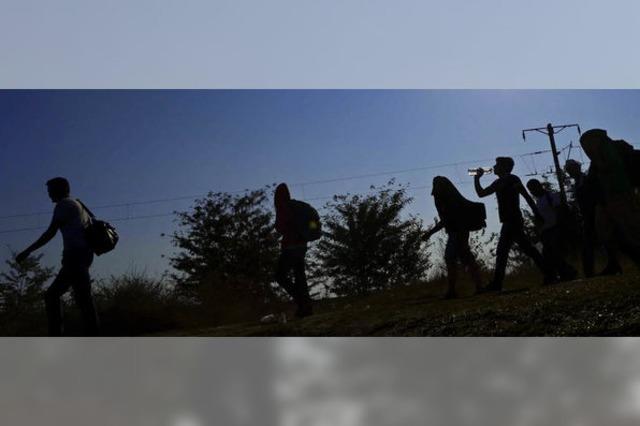 71 Flchtlinge in Schlepper-LKW erstickt