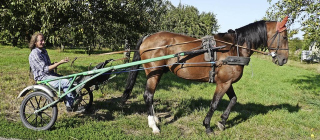 Der Trabrennfahrer Ismet Zendeli ist i...s Oberteil, Handschuhe und einem Helm.  | Foto: Christel Hlter-Hassler