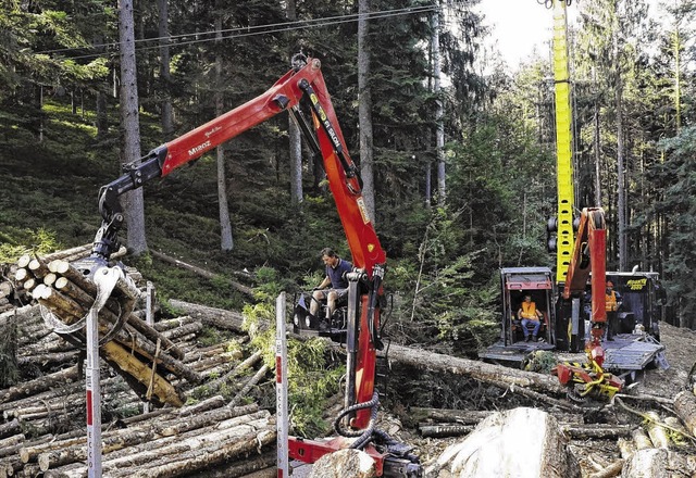 Holzschlag im Albtal: Der Gebirgs-Harv...steht fest verankert auf dem Waldweg.   | Foto: Forst