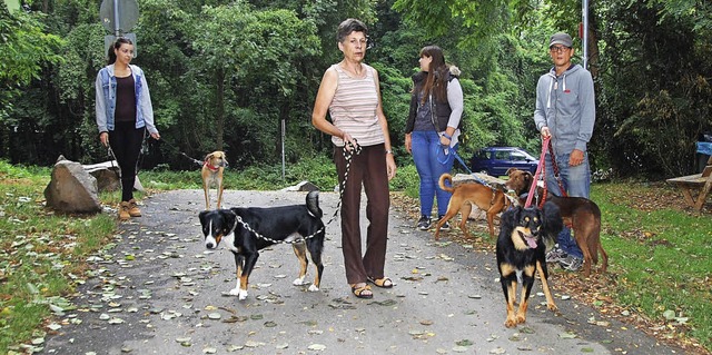 Der erste Rundgang mit den Tierheimhun...u finden sich viele Freiwillige ein.    | Foto: Frey