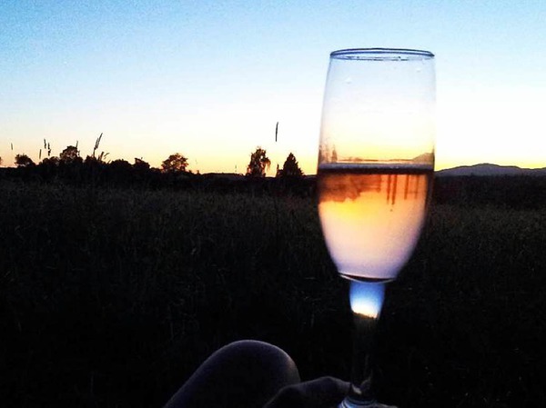 Sonnenuntergang auf einer schnen Sommerwiese im Juli, eingesandt von Sascha Schmidt aus Rheinfelden.