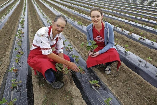 Spenglerhof in Dundenheim: Von Hhnern ber Tabak zu den Beeren