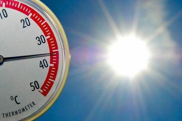 Sommer mit 41 Hitzetagen