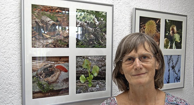 Bume, Bume, Bume: Edburgh Hlig aus Waldkirch stellt im Kurhaus Freiamt aus.  | Foto: Christian Ringwald