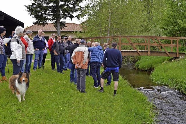 Hoher Arsengehalt im Sediment