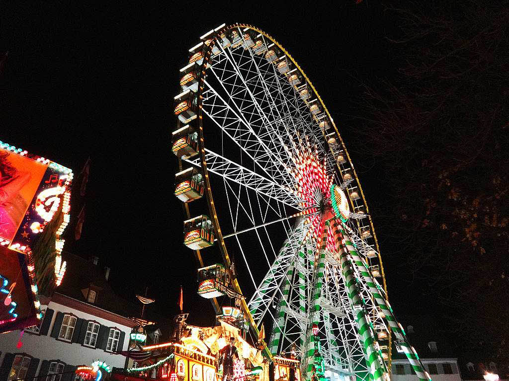 Gertrud Anders: Riesenrad an der Herbstmesse 2013 in Basel