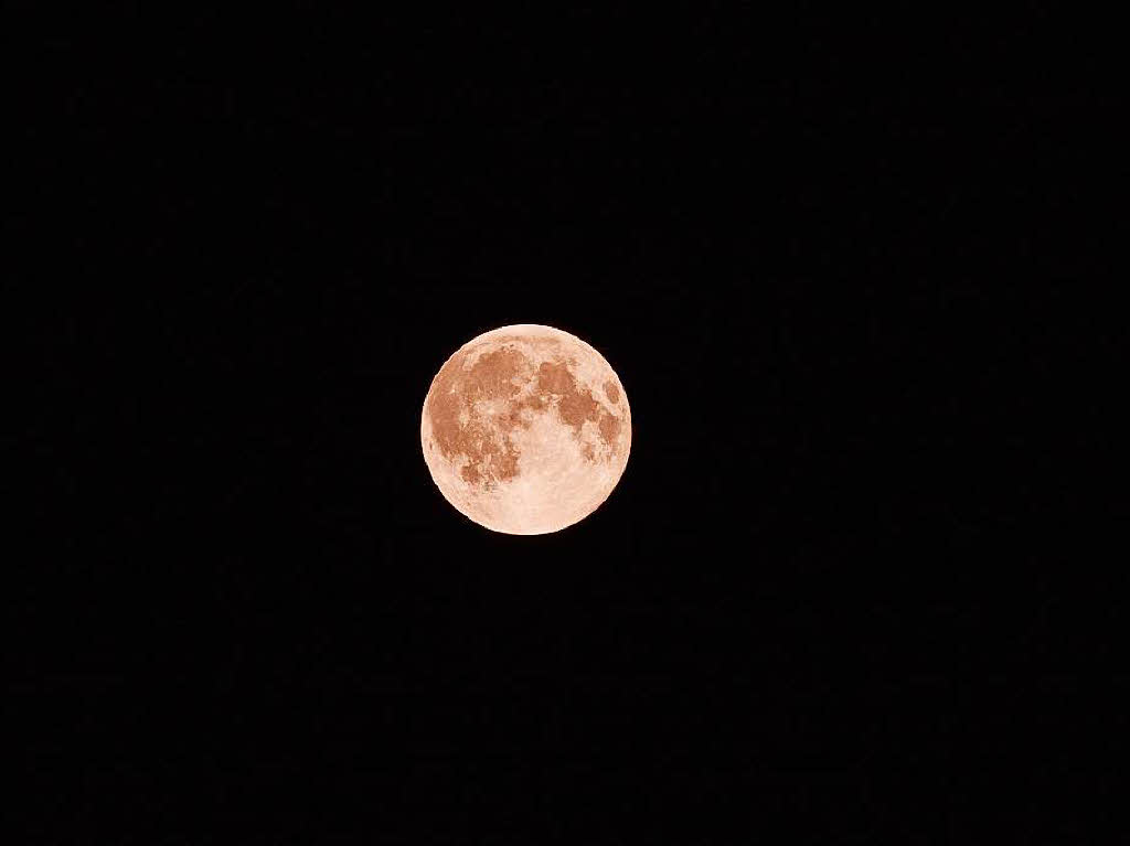 Thea Pflger: Am Samstag aufgenommenes Bild vom August-Vollmond.