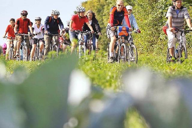 Fotos: BZ-Ferienaktion Fahrradtour zur Kunsthalle Riegel