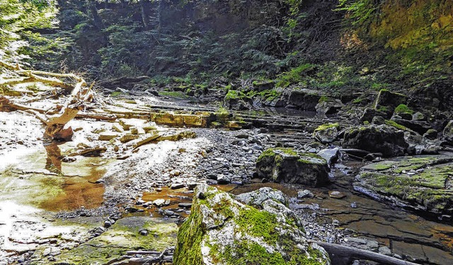 Das Flussbett der Steina besteht aus z...lten sickert das Wasser im Sommer ab.   | Foto: Privat