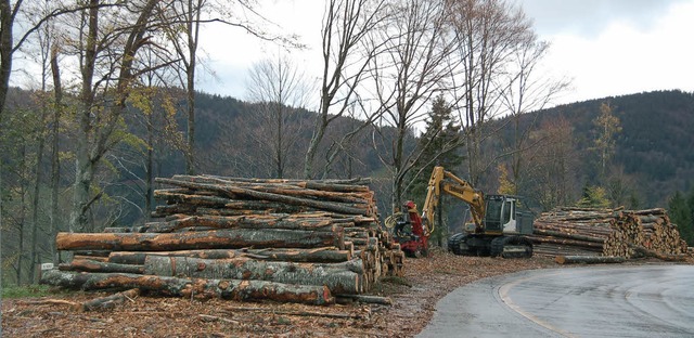 Die Forstverwaltung will aus Sicherhei...r der groe Hieb in Todtnauberg 2013.   | Foto: u.jger