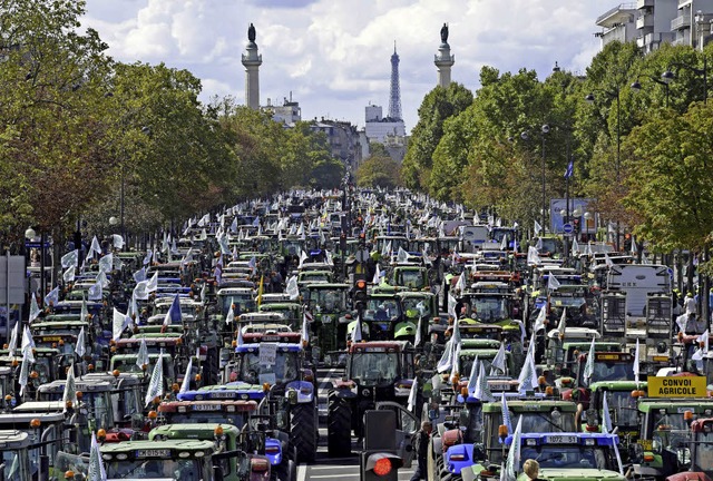 Franzsische Landwirte protestieren in Paris gegen zu niedrige Preise.   | Foto: afp