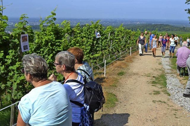 Sechs Stationen mit Wein und Essen entlang der Rebgemeinden