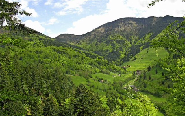 Im Bereich Kaltwasser am Fue des Belc...rt es noch &#8211; das kosystem Wald.  | Foto: Manfred Lange