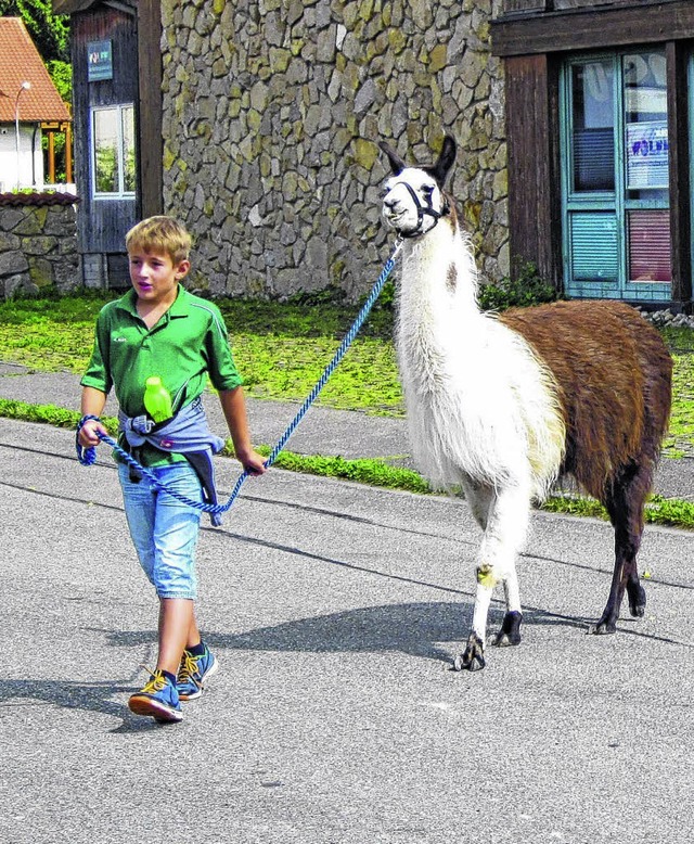 Ein ungewhnlicger Ausflug: In Brunlingen durften Kinder mit Lamas wandern.   | Foto: Rademacher