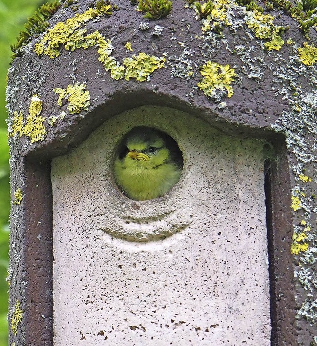   | Foto: Dirk Erdmann