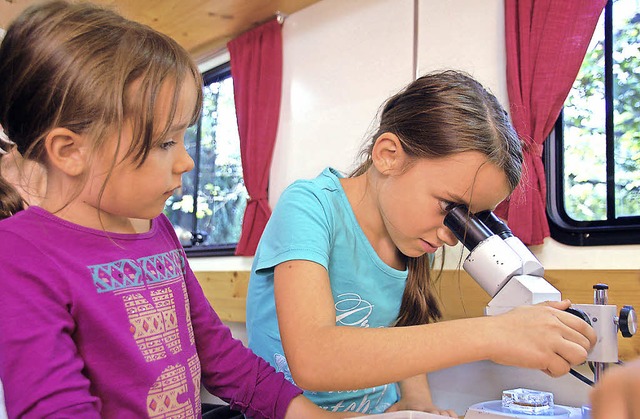 Anna und Ronja am Mikroskop erforschen... und Pflanzen, die sie vorher  haben.   | Foto: Helena Kiefer