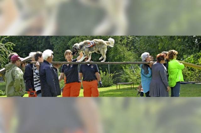 Rettungshunde versetzen in Staunen