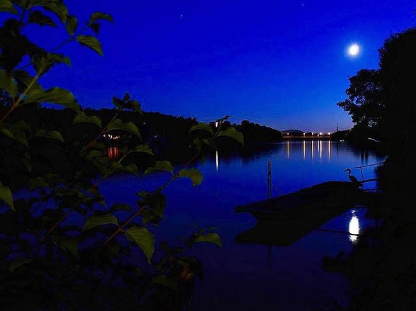Nachtstimmung mit Vogel  bei Rheinfelden von Stefan Rsch.