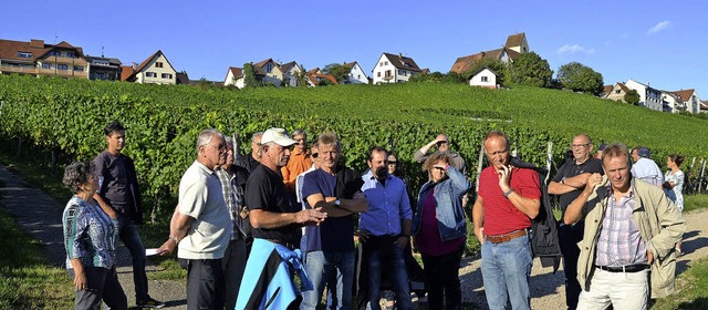 Vor der traumhaften Kulisse von tling...rtes ber Wein und Reben zu erzhlen.   | Foto: SENF