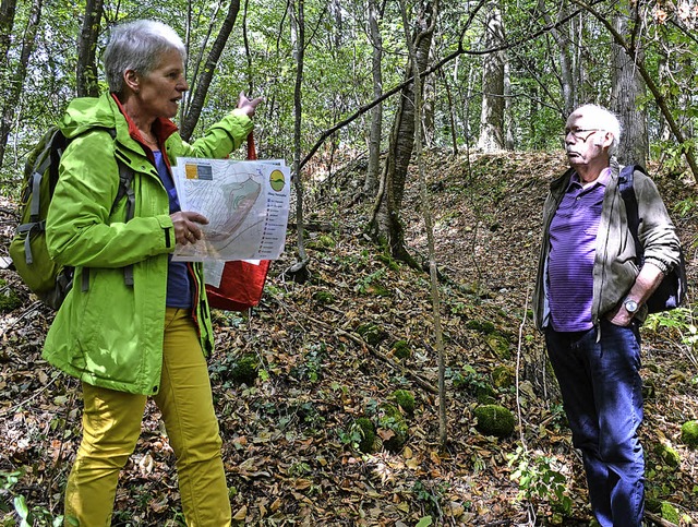 Am lberg in Ehrenstetten gibt es Stei..., vom dem Christel Bcker berichtete.   | Foto: Gabriele Hennicke