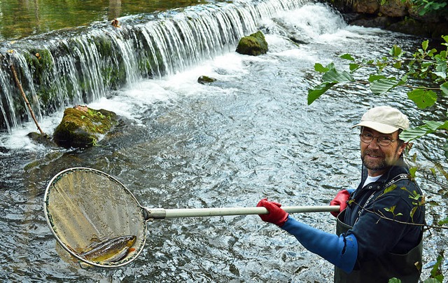 Ingo Kramer holte direkt vor dem alten...hlenkrebse aus dem Wasser der Brugga.   | Foto: Gerhard Lck