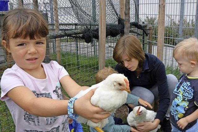 Henne Lotta besucht das Osypka-Kinderhaus und legt vier Eier