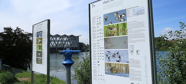 Der Lehrpfad am Kraftwerk Birsfelden (hinten)   | Foto: Jelena Dobric