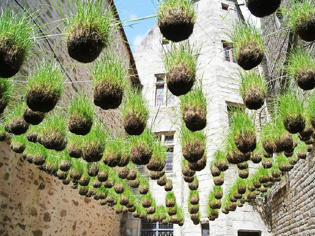 Das Gras von unten schaute Eva Skrypnik aus Schopfheim in Vannes in der Bretagne an. Im Rahmen einer Pflanzenmesse entdeckte sie diese Konstruktion im Innenhof eines Schlosses.