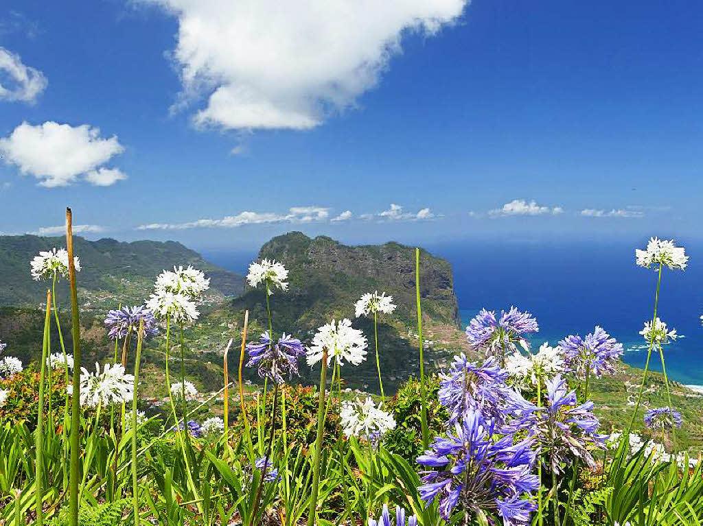 Violette und weie Blumen, Berge und das Meer: Meike Tritschler und Eric Birgel zog es auf die portugiesische  Insel Madeira, welche fr ihre Blumenvielfalt bekannt ist.