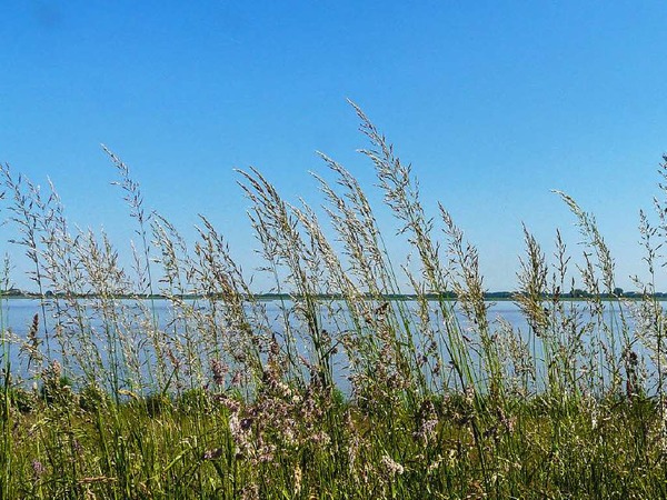So leicht und beschwingt, kann der Sommer sein, meint Jrgen Freund