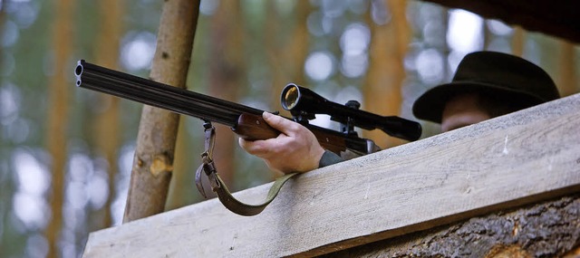 Aus bisher vier Pachtbezirken fr die ...em Wald zuliebe hhere Abschusszahlen.  | Foto: dpa