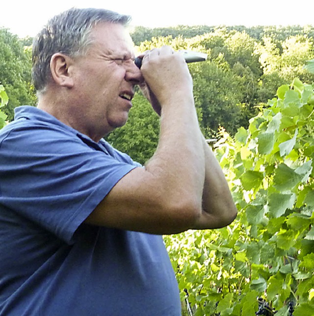 Jrgen Reiske prft, wie viel Oechsle die Weintrauben haben.  | Foto: Gabriele Rasenberger