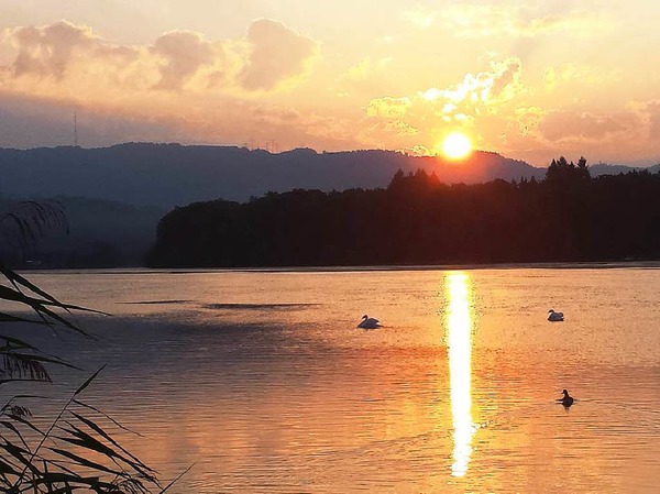 Sonnenaufgang am Rhein bei Schwrstadt, ebenfalls von Gnter Bhler.