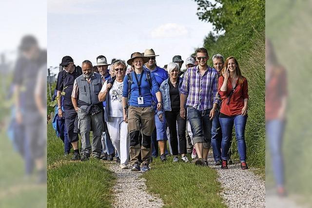 Wandern mit weinkundiger Fhrung