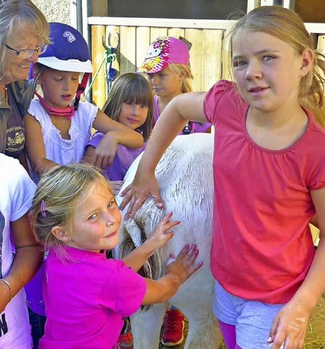 Viel  Spa hatten die Kinder in Hnner beim Schamponieren eines Ponys.      | Foto: Claudia  Marchlewski