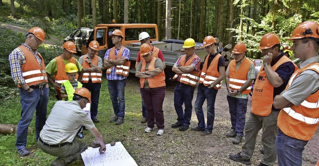 Die Malterdinger Gemeinderte wurden b... Zustand des Gemeindewalds informiert.  | Foto: Dieter Erggelet