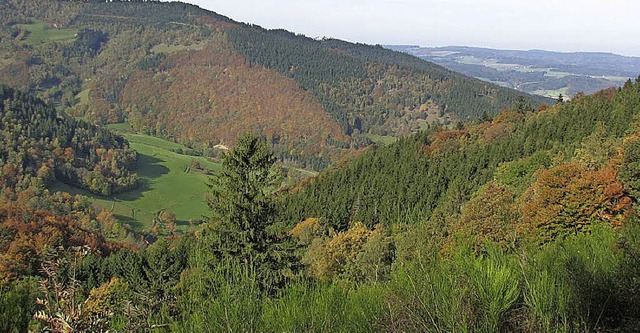 Blick auf die schne Landschaft von Yach aus.  | Foto: ARCHIVBILD: Siegfried Wernet