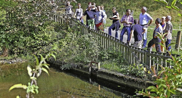 Noch nicht ganz, aber bald Ebbe: Nicht...haftsrte von der Situation ein Bild.   | Foto: Hans-Jrgen Hege