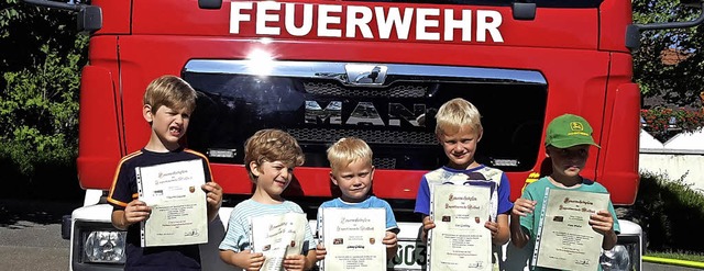 Mit den Diplomen vor dem Feuerwehrauto... Gehling, Leo Gehling und  Finn Probst  | Foto: privat