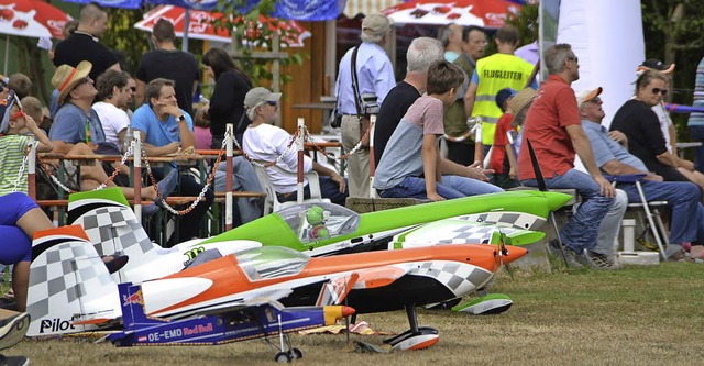 Zahlreiche Piloten prsentierten ihre Modellflugzeuge auf dem Boden...  | Foto: Lisa Geppert