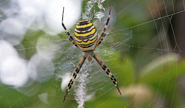   | Foto: Zoo Basel (T.Weber)