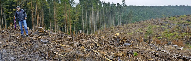 Einer Baumstumpfwste gleicht die Stur...rden, sagte Stadtfrster Steffen Wolf.  | Foto: Juliane Khnemund