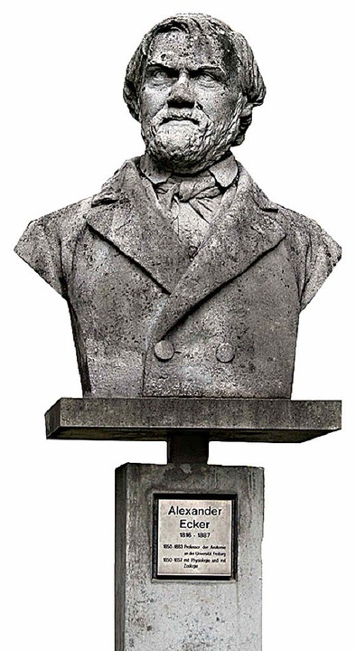 Das Alexander-Ecker-Denkmal beim Anatomischen Institut an der  Albertstrae   | Foto: wegmann