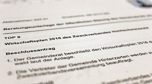 Der Hinterzartener Gemeinderates stimm...16 des Zweckverbandes Hochschwarzwald.  | Foto: Joachim Frommherz