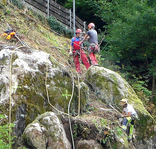 Ein Felsblock am Zeller Kalvarienberg wird gesichert.   | Foto: Steinfelder