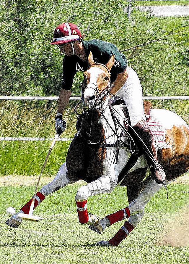 Auch Ballsport zu Pferde, kurz Polo, s...aueschingen wieder auf dem Programm.    | Foto: BZ