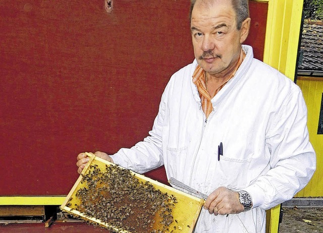 Werner Leber zeigt eine Wabe mit Bienen darauf.   | Foto: Kim Ebner