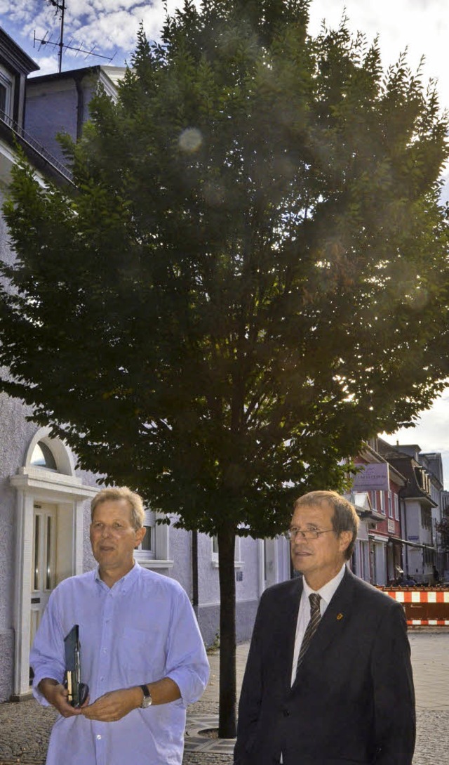 Die Hainbuche in Sulenform hat Zukunf...hardt und Stadtgrtnermeister Bruttel.  | Foto: Ingrid Bhm-Jacob