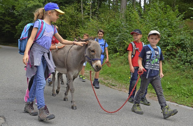 Eseltrekking gehrte zu den beliebtest... Bad Sckinger Kinderferienprogramms.   | Foto: Elena Butz